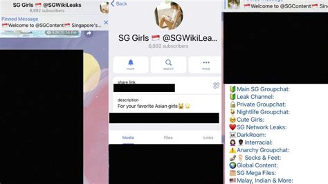 sg mega leaks|Telegram group circulating obscene images allegedly。